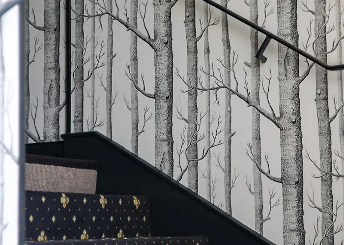 Hotel Paulette Centre Cathedrale 3*